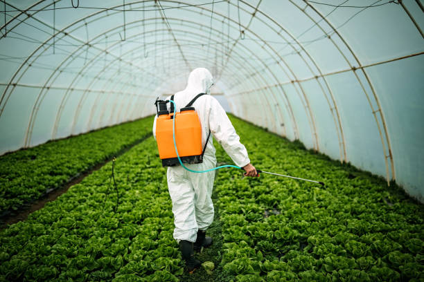 Best Pest Removal Services  in Green Springs, OH