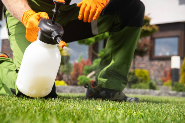 Best Mosquito Control Services  in Green Springs, OH
