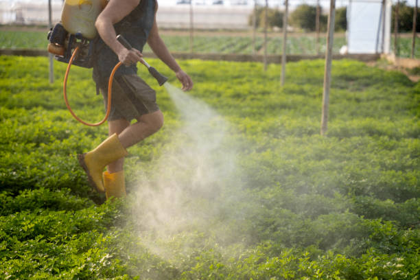 Best Exterminator Services  in Green Springs, OH