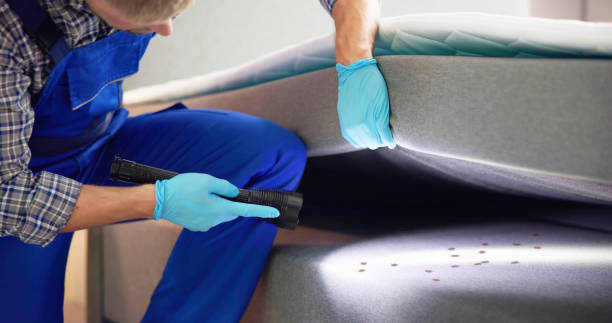 Professional Pest Control in Green Springs, OH